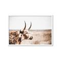 Picture of Annie, the Spotted Cow III _GroupedProduct_Rectangle_Landscape_Photography _GroupedProduct_Rectangle_Landscape_Framed_Matted_