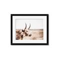 Picture of Annie, the Spotted Cow III _GroupedProduct_Rectangle_Landscape_Photography _GroupedProduct_Rectangle_Landscape_Framed_Matted_
