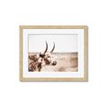 Picture of Annie, the Spotted Cow III _GroupedProduct_Rectangle_Landscape_Photography _GroupedProduct_Rectangle_Landscape_Framed_Matted_