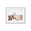 Picture of Annie, the Spotted Cow III _GroupedProduct_Rectangle_Landscape_Photography _GroupedProduct_Rectangle_Landscape_Framed_Matted_