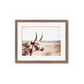 Picture of Annie, the Spotted Cow III _GroupedProduct_Rectangle_Landscape_Photography _GroupedProduct_Rectangle_Landscape_Framed_Matted_