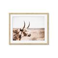 Picture of Annie, the Spotted Cow III _GroupedProduct_Rectangle_Landscape_Photography _GroupedProduct_Rectangle_Landscape_Framed_Matted_