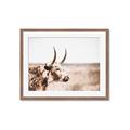 Picture of Annie, the Spotted Cow III _GroupedProduct_Rectangle_Landscape_Photography _GroupedProduct_Rectangle_Landscape_Framed_Matted_