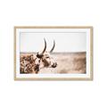 Picture of Annie, the Spotted Cow III _GroupedProduct_Rectangle_Landscape_Photography _GroupedProduct_Rectangle_Landscape_Framed_Matted_