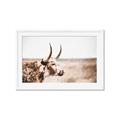 Picture of Annie, the Spotted Cow III _GroupedProduct_Rectangle_Landscape_Photography _GroupedProduct_Rectangle_Landscape_Framed_Matted_