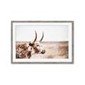 Picture of Annie, the Spotted Cow III _GroupedProduct_Rectangle_Landscape_Photography _GroupedProduct_Rectangle_Landscape_Framed_Matted_