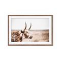 Picture of Annie, the Spotted Cow III _GroupedProduct_Rectangle_Landscape_Photography _GroupedProduct_Rectangle_Landscape_Framed_Matted_