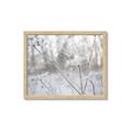 Picture of Branching off _GroupedProduct_Rectangle_Landscape_Photography _GroupedProduct_Rectangle_Landscape_Framed_Matted_