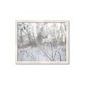 Picture of Branching off _GroupedProduct_Rectangle_Landscape_Photography _GroupedProduct_Rectangle_Landscape_Framed_Matted_