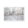 Picture of Branching off _GroupedProduct_Rectangle_Landscape_Photography _GroupedProduct_Rectangle_Landscape_Framed_Matted_