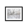 Picture of Branching off _GroupedProduct_Rectangle_Landscape_Photography _GroupedProduct_Rectangle_Landscape_Framed_Matted_