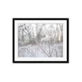 Picture of Branching off _GroupedProduct_Rectangle_Landscape_Photography _GroupedProduct_Rectangle_Landscape_Framed_Matted_