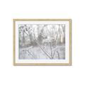 Picture of Branching off _GroupedProduct_Rectangle_Landscape_Photography _GroupedProduct_Rectangle_Landscape_Framed_Matted_