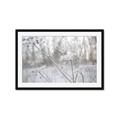 Picture of Branching off _GroupedProduct_Rectangle_Landscape_Photography _GroupedProduct_Rectangle_Landscape_Framed_Matted_