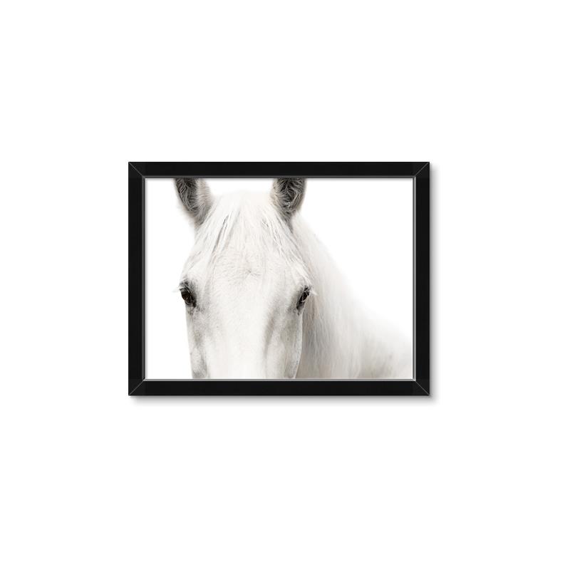 Picture of White horse _GroupedProduct_Rectangle_Landscape_Photography _GroupedProduct_Rectangle_Landscape_Framed_Matted_