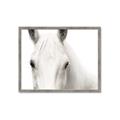 Picture of White horse _GroupedProduct_Rectangle_Landscape_Photography _GroupedProduct_Rectangle_Landscape_Framed_Matted_