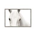 Picture of White horse _GroupedProduct_Rectangle_Landscape_Photography _GroupedProduct_Rectangle_Landscape_Framed_Matted_