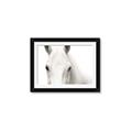 Picture of White horse _GroupedProduct_Rectangle_Landscape_Photography _GroupedProduct_Rectangle_Landscape_Framed_Matted_