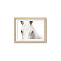 Picture of White horse _GroupedProduct_Rectangle_Landscape_Photography _GroupedProduct_Rectangle_Landscape_Framed_Matted_