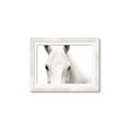 Picture of White horse _GroupedProduct_Rectangle_Landscape_Photography _GroupedProduct_Rectangle_Landscape_Framed_Matted_