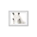 Picture of White horse _GroupedProduct_Rectangle_Landscape_Photography _GroupedProduct_Rectangle_Landscape_Framed_Matted_
