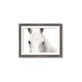 Picture of White horse _GroupedProduct_Rectangle_Landscape_Photography _GroupedProduct_Rectangle_Landscape_Framed_Matted_