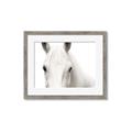 Picture of White horse _GroupedProduct_Rectangle_Landscape_Photography _GroupedProduct_Rectangle_Landscape_Framed_Matted_