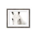Picture of White horse _GroupedProduct_Rectangle_Landscape_Photography _GroupedProduct_Rectangle_Landscape_Framed_Matted_