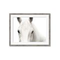 Picture of White horse _GroupedProduct_Rectangle_Landscape_Photography _GroupedProduct_Rectangle_Landscape_Framed_Matted_