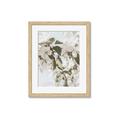 Picture of Leafy Light _GroupedProduct_Rectangle_Portrait_Photography _GroupedProduct_Rectangle_Portrait_Framed_Matted_