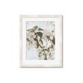 Picture of Leafy Light _GroupedProduct_Rectangle_Portrait_Photography _GroupedProduct_Rectangle_Portrait_Framed_Matted_