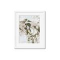 Picture of Leafy Light _GroupedProduct_Rectangle_Portrait_Photography _GroupedProduct_Rectangle_Portrait_Framed_Matted_