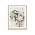 Picture of Leafy Light _GroupedProduct_Rectangle_Portrait_Photography _GroupedProduct_Rectangle_Portrait_Framed_Matted_