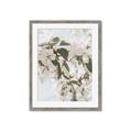 Picture of Leafy Light _GroupedProduct_Rectangle_Portrait_Photography _GroupedProduct_Rectangle_Portrait_Framed_Matted_