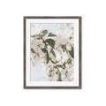 Picture of Leafy Light _GroupedProduct_Rectangle_Portrait_Photography _GroupedProduct_Rectangle_Portrait_Framed_Matted_