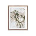 Picture of Leafy Light _GroupedProduct_Rectangle_Portrait_Photography _GroupedProduct_Rectangle_Portrait_Framed_Matted_