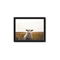 Picture of One and Only _GroupedProduct_Rectangle_Landscape_Photography _GroupedProduct_Rectangle_Landscape_Framed_Matted_