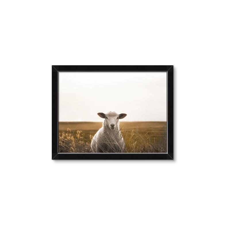 Picture of One and Only _GroupedProduct_Rectangle_Landscape_Photography _GroupedProduct_Rectangle_Landscape_Framed_Matted_