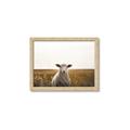 Picture of One and Only _GroupedProduct_Rectangle_Landscape_Photography _GroupedProduct_Rectangle_Landscape_Framed_Matted_