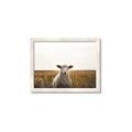 Picture of One and Only _GroupedProduct_Rectangle_Landscape_Photography _GroupedProduct_Rectangle_Landscape_Framed_Matted_
