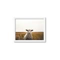 Picture of One and Only _GroupedProduct_Rectangle_Landscape_Photography _GroupedProduct_Rectangle_Landscape_Framed_Matted_