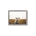 Picture of One and Only _GroupedProduct_Rectangle_Landscape_Photography _GroupedProduct_Rectangle_Landscape_Framed_Matted_