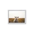 Picture of One and Only _GroupedProduct_Rectangle_Landscape_Photography _GroupedProduct_Rectangle_Landscape_Framed_Matted_
