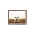 Picture of One and Only _GroupedProduct_Rectangle_Landscape_Photography _GroupedProduct_Rectangle_Landscape_Framed_Matted_