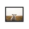 Picture of One and Only _GroupedProduct_Rectangle_Landscape_Photography _GroupedProduct_Rectangle_Landscape_Framed_Matted_