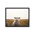 Picture of One and Only _GroupedProduct_Rectangle_Landscape_Photography _GroupedProduct_Rectangle_Landscape_Framed_Matted_