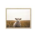 Picture of One and Only _GroupedProduct_Rectangle_Landscape_Photography _GroupedProduct_Rectangle_Landscape_Framed_Matted_