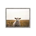 Picture of One and Only _GroupedProduct_Rectangle_Landscape_Photography _GroupedProduct_Rectangle_Landscape_Framed_Matted_