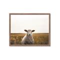 Picture of One and Only _GroupedProduct_Rectangle_Landscape_Photography _GroupedProduct_Rectangle_Landscape_Framed_Matted_