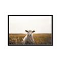 Picture of One and Only _GroupedProduct_Rectangle_Landscape_Photography _GroupedProduct_Rectangle_Landscape_Framed_Matted_